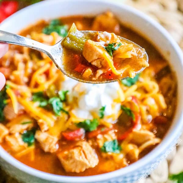 Chicken Fajita Soup • The Pinning Mama