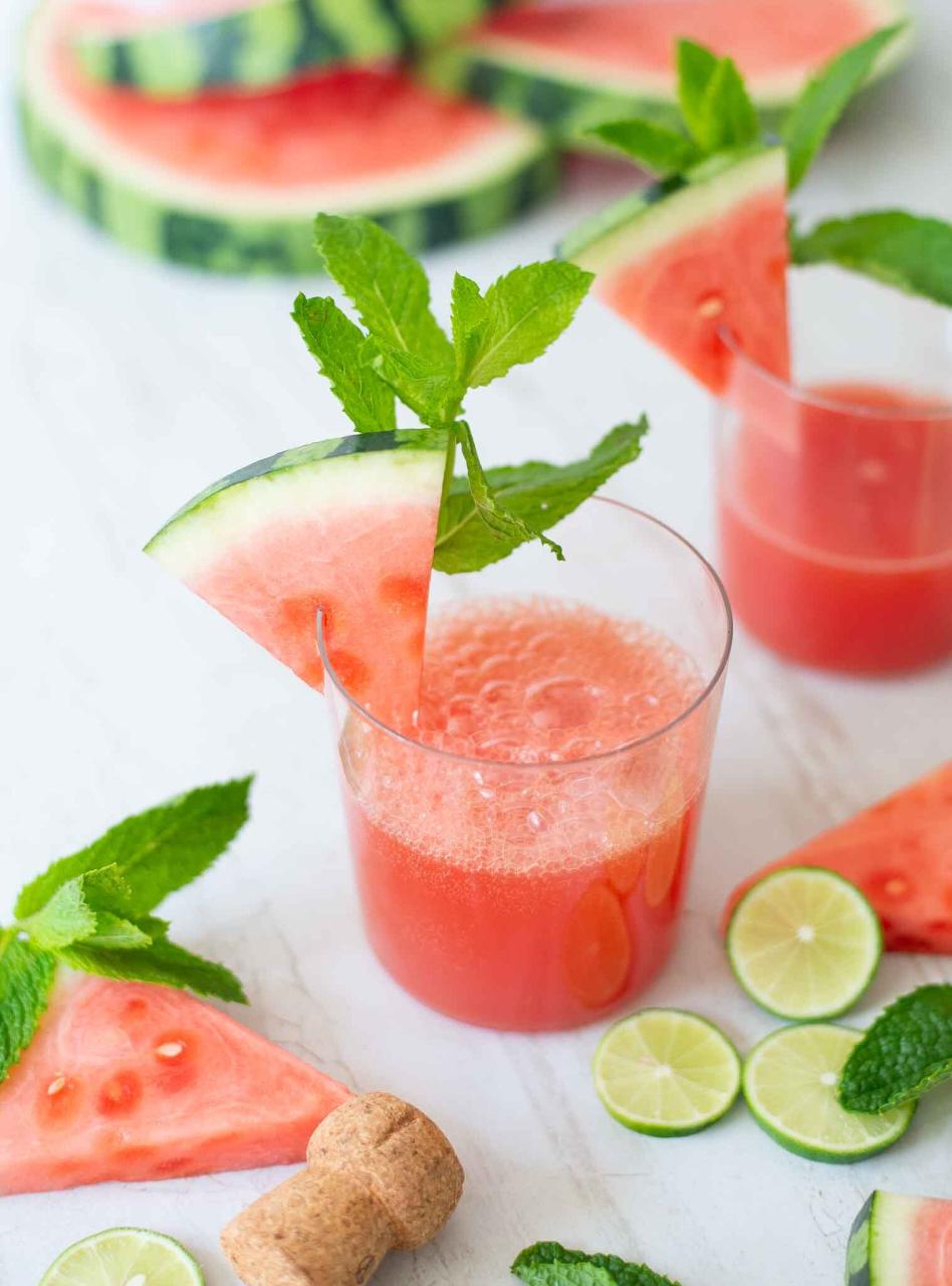 Watermelon Mint Prosecco Spritz — Mixed & Measured